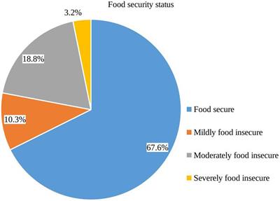 Household food insecurity and hunger status in Debre Berhan town, Central Ethiopia: Community-based cross-sectional study